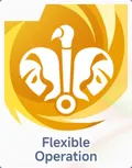 Flexible Operation